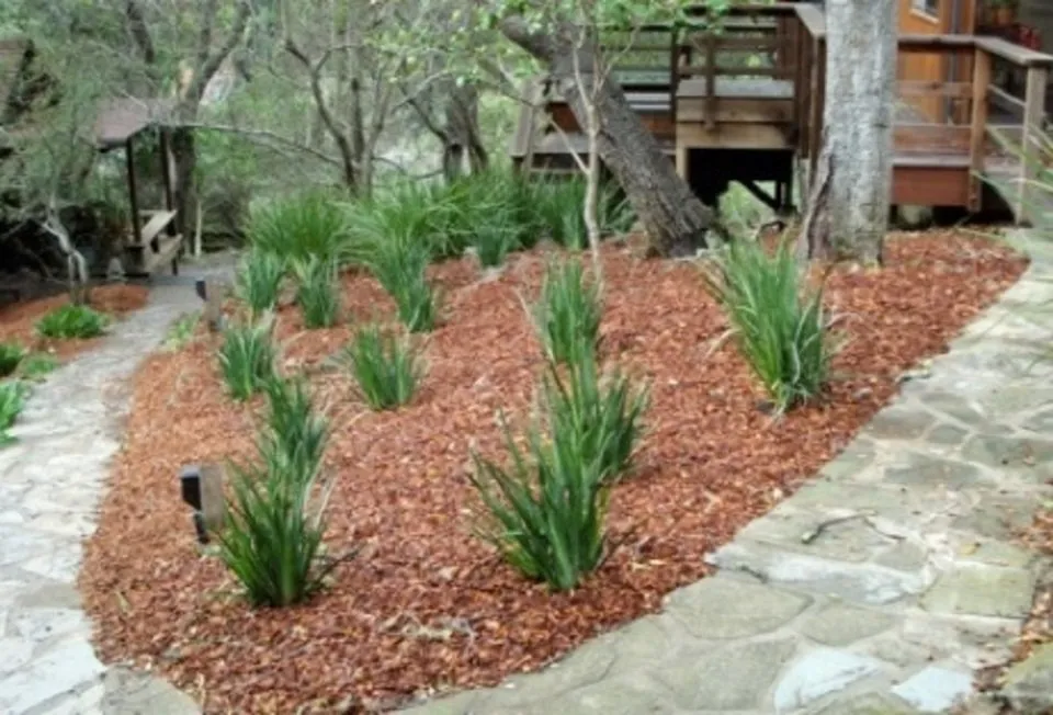 Affordable yard cleanup service for residential properties across Novato, CA - Garcia's Landscaping