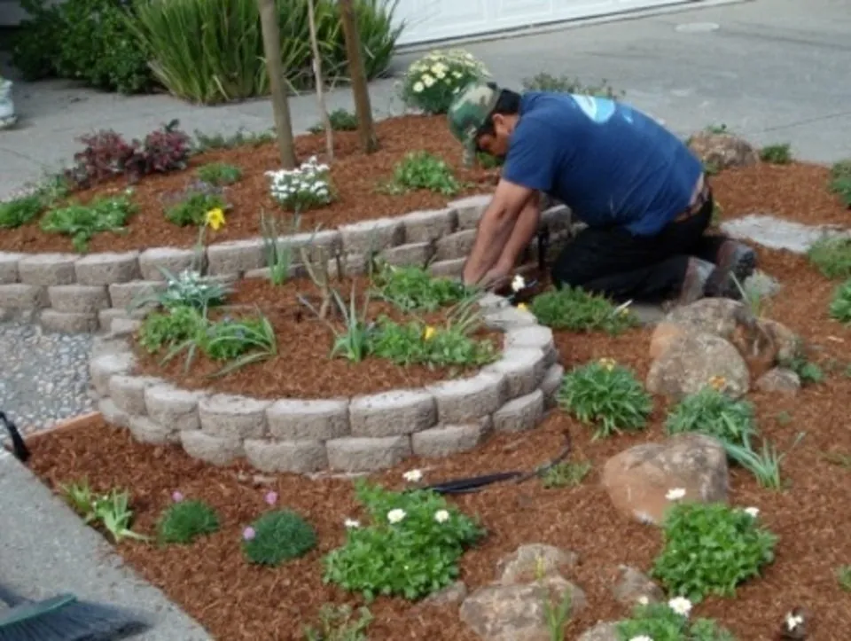 Affordable lawn mowing service in Novato, CA by Garcia's Landscaping