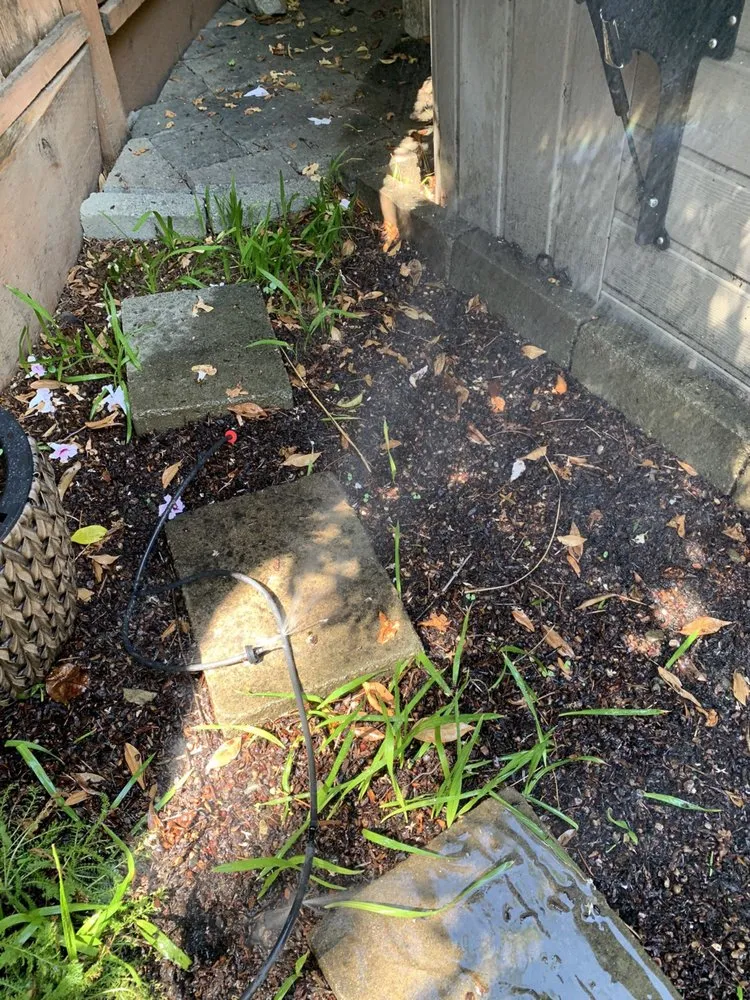 Expert landscaping services in Novato, CA - Garcia's Landscaping