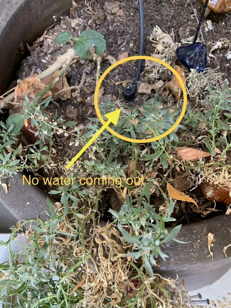 Custom lawn care service in Novato, CA by Garcia's Landscaping