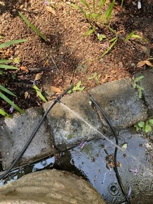 Garcia's Landscaping Logo