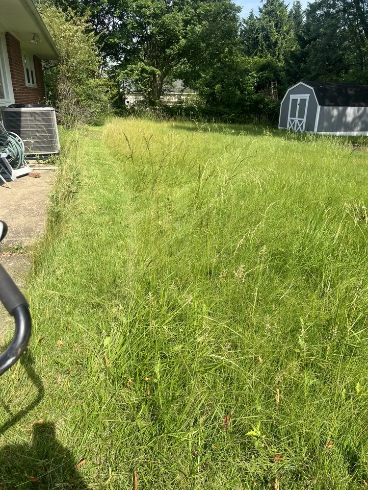 Reliable landscaping services for beautiful yards in Pimmit, VA by Garcia’s landscaping