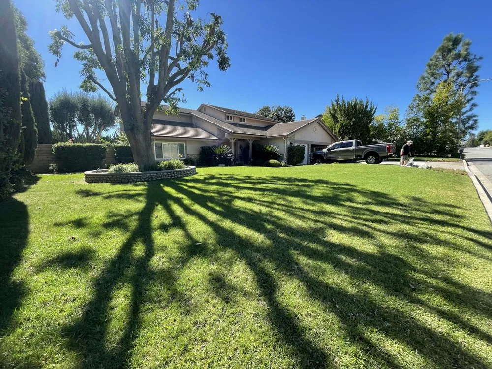 Professional yard cleanup service in Pomona, CA - Garcia’s Landscaping