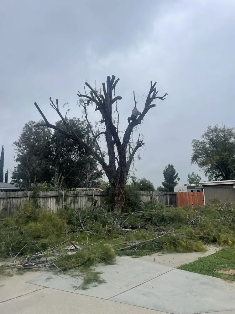 Expert landscape design with custom design across Pomona, CA - Garcia’s Landscaping