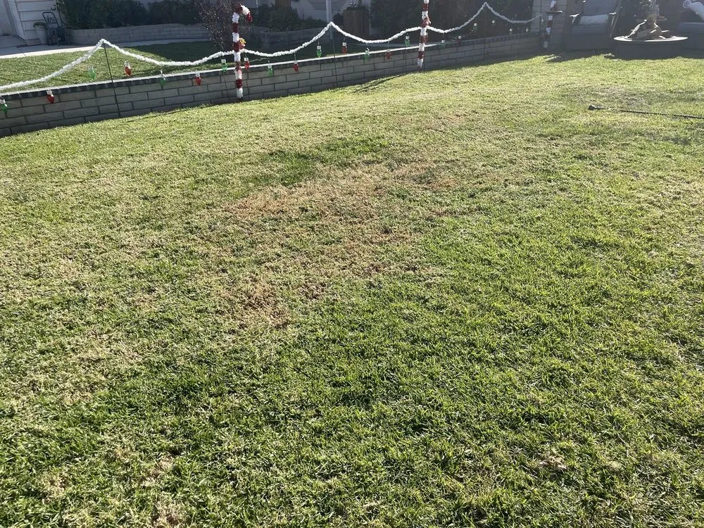 Affordable outdoor landscaping in Pomona, CA - Garcia’s Landscaping