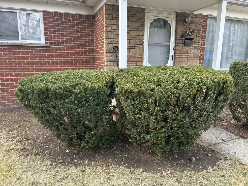 Professional yard maintenance in Pontiac, MI - Garcia's Landscaping