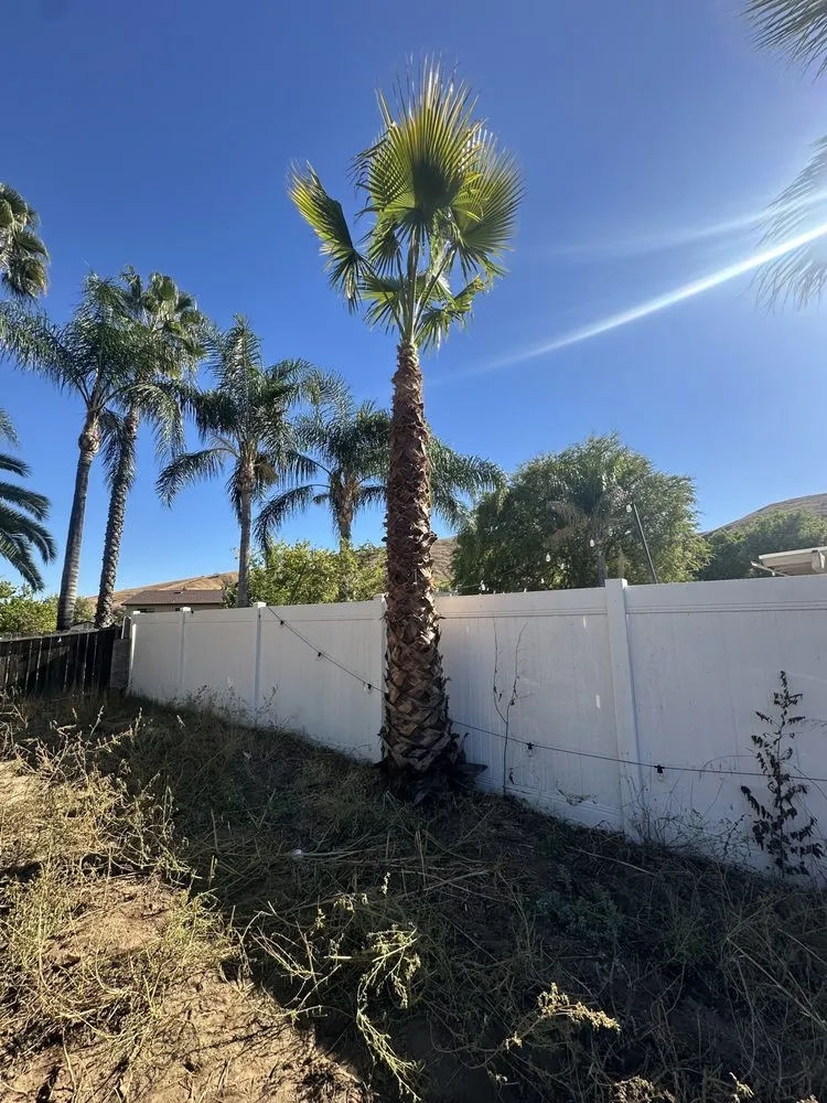 Top-rated yard cleanup service in San Bernardino, CA - Garcias Landscaping