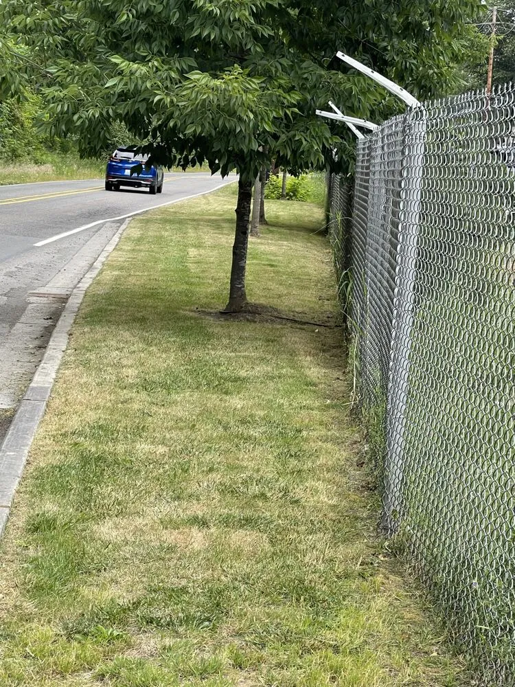 Reliable yard cleanup service experts serving Puyallup, WA - Garcia’s Landscaping Services