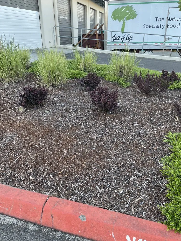 Reliable lawn care service for outdoor upgrades across Puyallup, WA - Garcia’s Landscaping Services