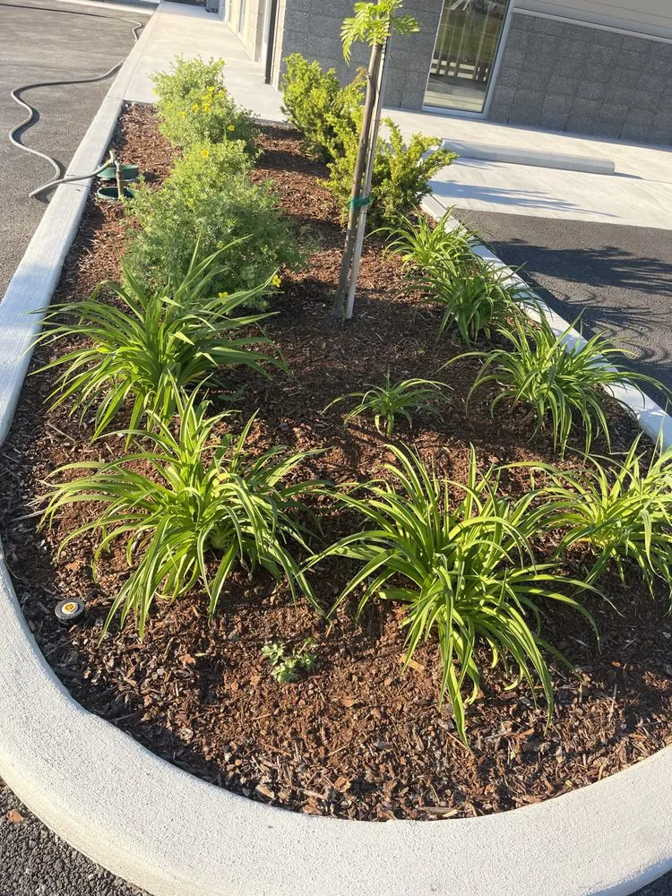 Top-rated yard cleanup service experts serving Puyallup, WA - Garcia’s Landscaping Services