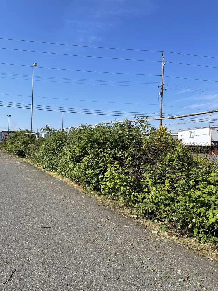 Custom lawn care service in Puyallup, WA - Garcia’s Landscaping Services