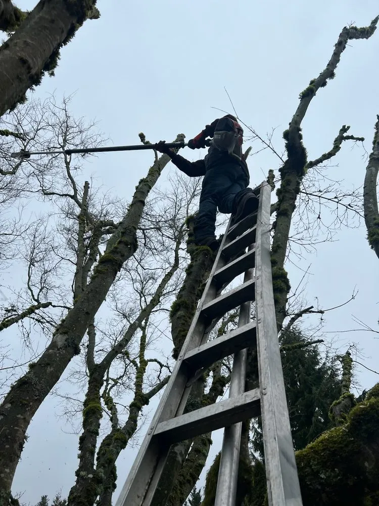 Affordable outdoor landscaping in Vancouver, WA by Garcia's Landscaping Services