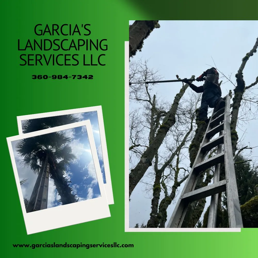 Reliable yard cleanup service for outdoor upgrades in Vancouver, WA by Garcia's Landscaping Services