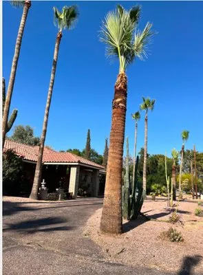 Garcia’s Landscaping Trimming And Lawn Logo