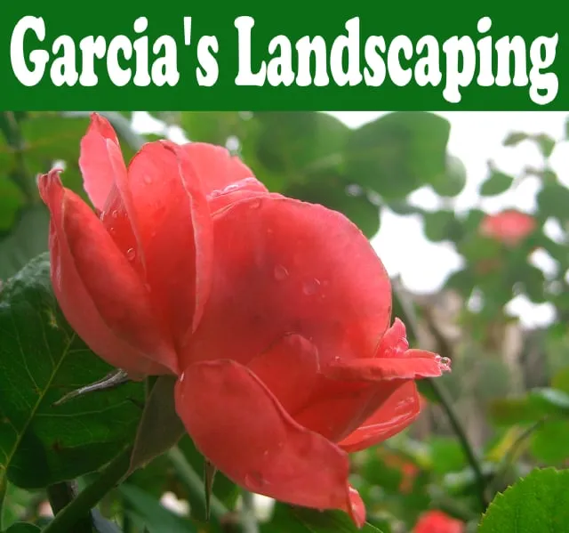Professional yard maintenance for residential properties across Vacaville, CA - Garcia's Landscaping