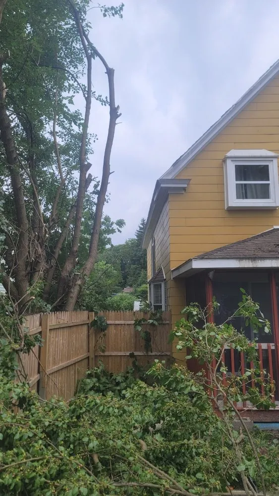 Top-rated yard maintenance near you in Worcester, MA by Garcias Landscaping