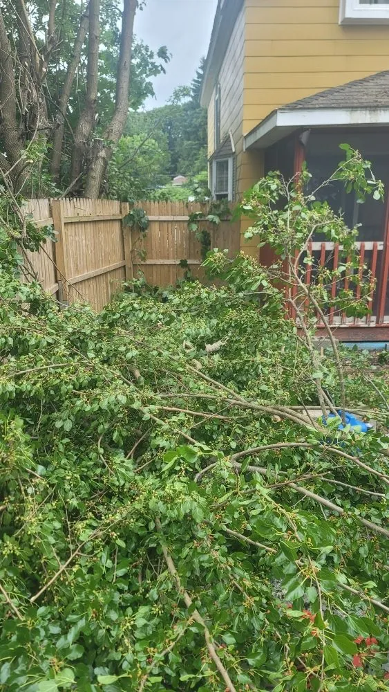 Reliable yard cleanup service for outdoor upgrades in Worcester, MA by Garcias Landscaping