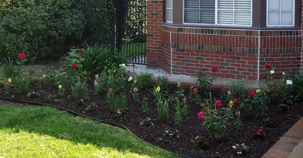 Reliable lawn care service in Winnetka, CA - Garcia’s Landscapings