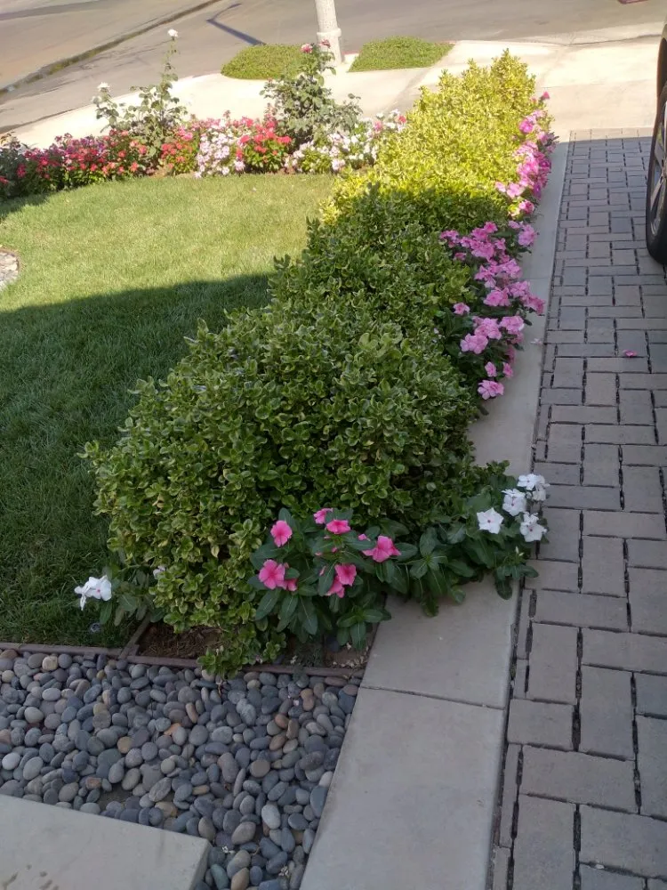 Top-rated yard maintenance in Winnetka, CA - Garcia’s Landscapings
