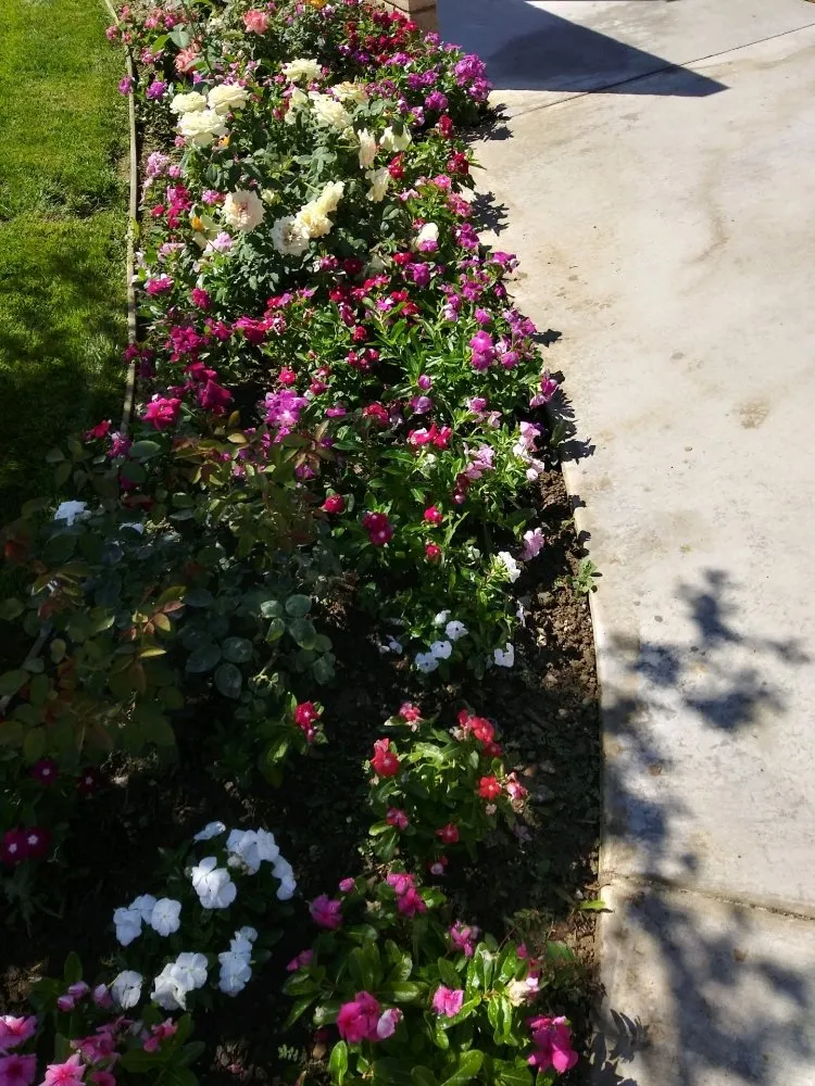 Reliable outdoor landscaping with custom design across Winnetka, CA - Garcia’s Landscapings