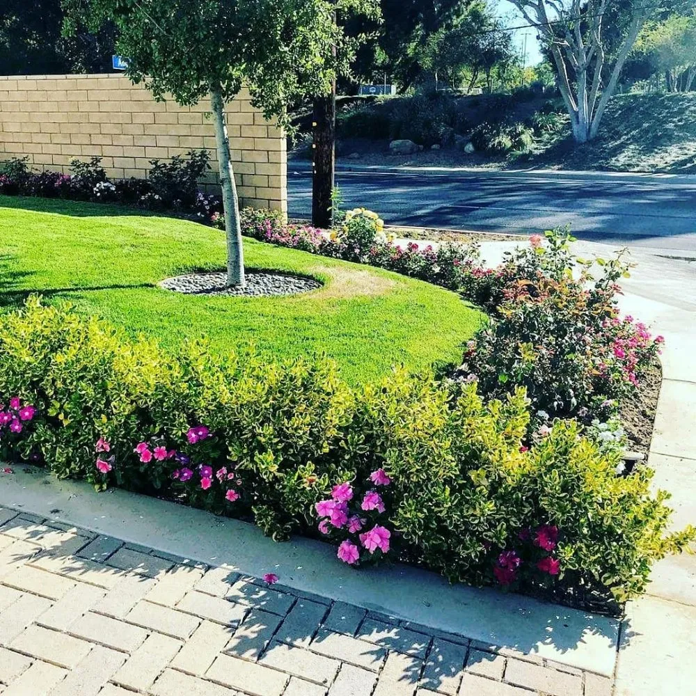 Reliable residential landscaping in Winnetka, CA - Garcia’s Landscapings