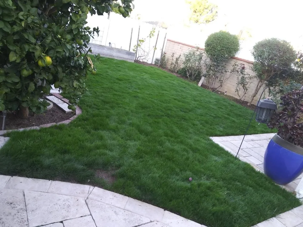 Affordable yard maintenance experts serving Winnetka, CA - Garcia’s Landscapings