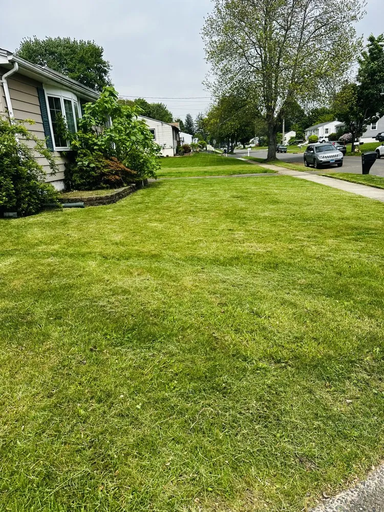 Custom outdoor landscaping experts serving New Haven, CT - Garcia’s Law Care & More