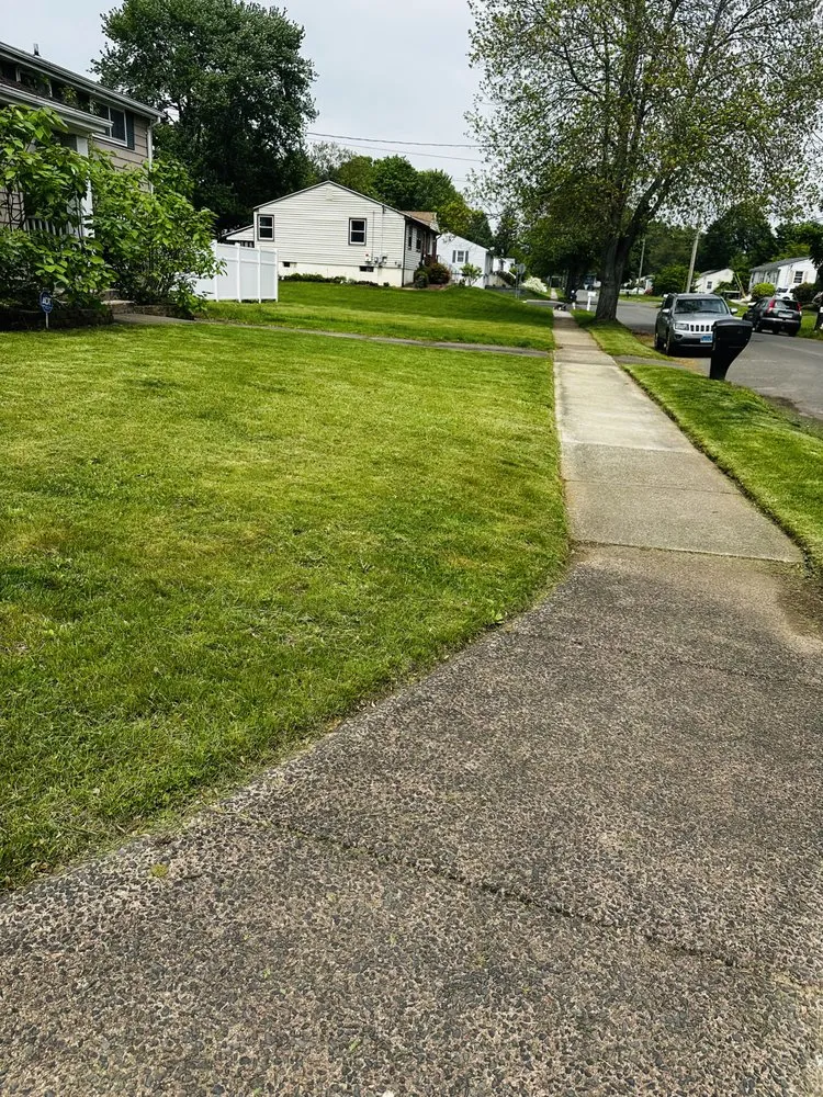 Trusted yard cleanup service experts serving New Haven, CT - Garcia’s Law Care & More