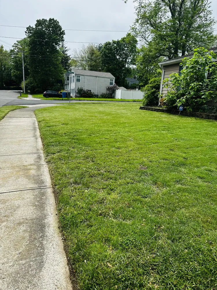 Professional landscape installation for outdoor upgrades in New Haven, CT by Garcia’s Law Care & More