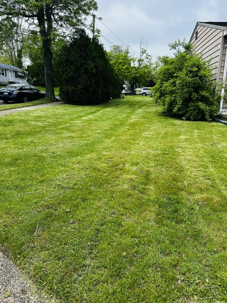 Expert landscape installation for outdoor upgrades in New Haven, CT by Garcia’s Law Care & More