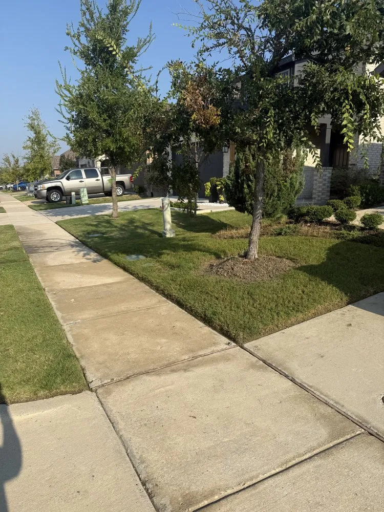 Reliable residential landscaping in McKinney, TX by Garcia’s Lawn & Landscaping