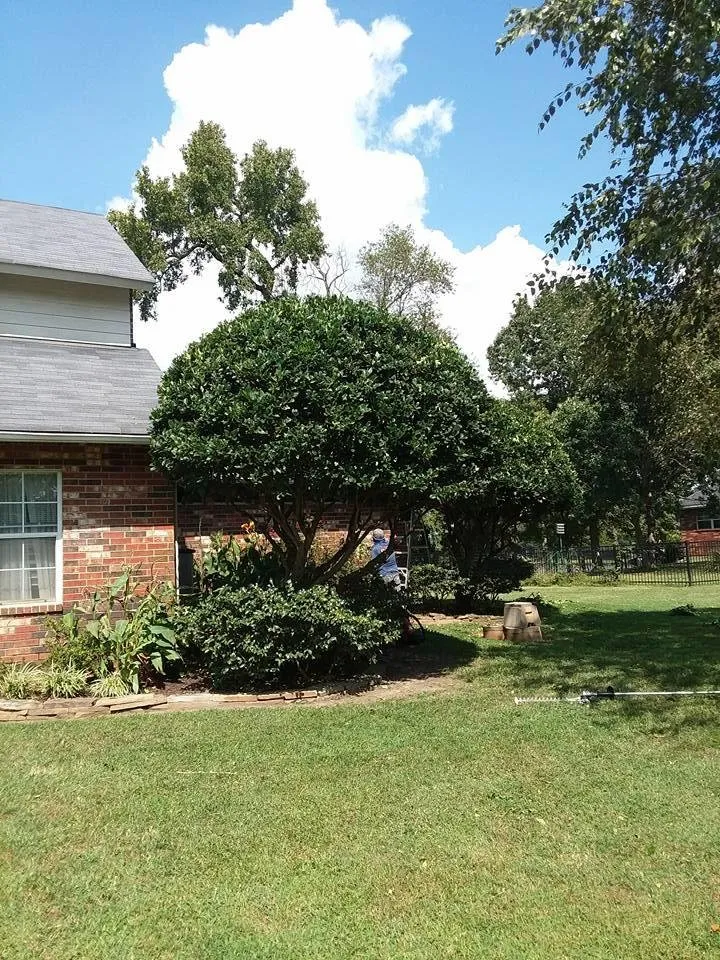 Reliable lawn care service experts serving Shreveport, LA - Garcia's Lawn Care