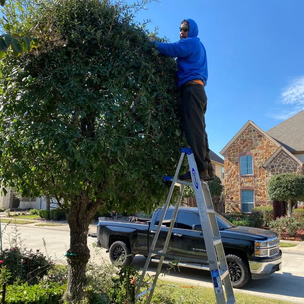Reliable landscape installation with custom design across Houston, TX - Garcia’s N Sons Lawn Care