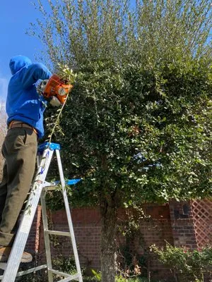 Garcia’s N Sons Lawn Care Logo