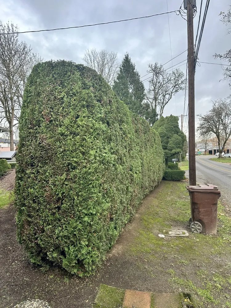 Local landscape design in Damascus, OR by Garcias Prestige Lawn Care Services