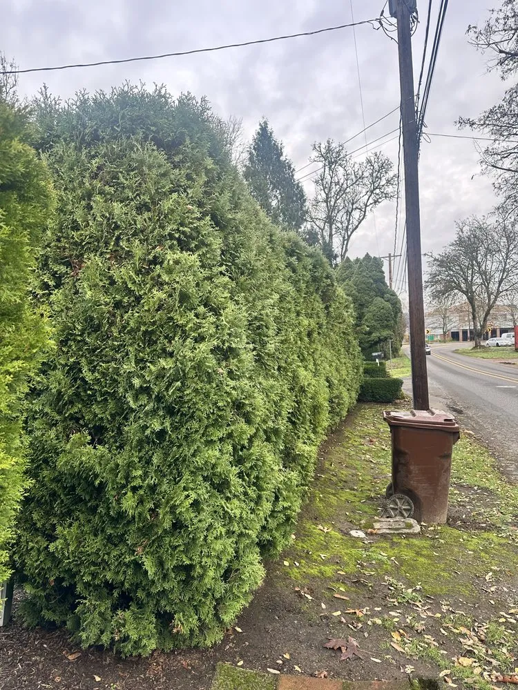 Custom garden landscaping in Damascus, OR - Garcias Prestige Lawn Care Services