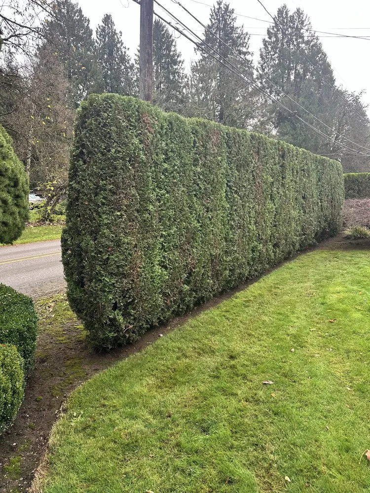 Expert yard maintenance experts serving Damascus, OR - Garcias Prestige Lawn Care Services