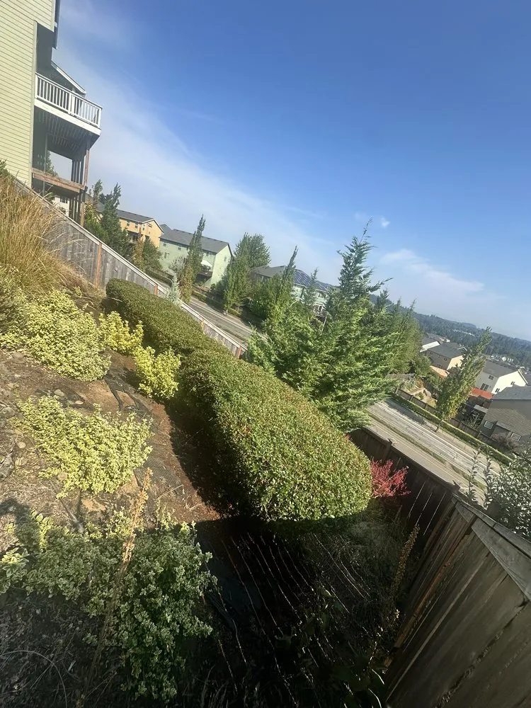 Affordable landscape design for outdoor upgrades in Damascus, OR by Garcias Prestige Lawn Care Services