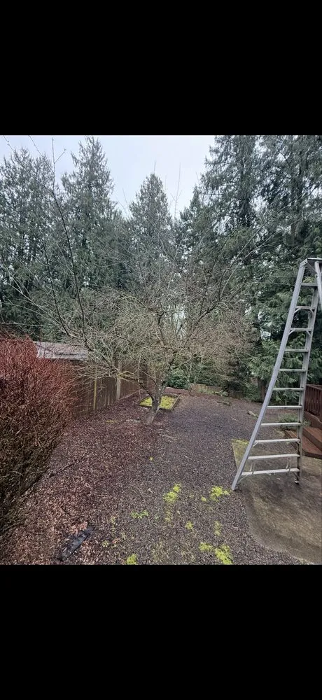 Local yard cleanup service experts serving Damascus, OR - Garcias Prestige Lawn Care Services