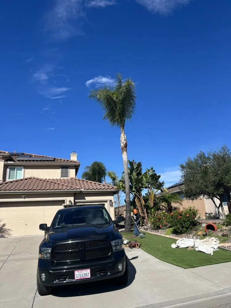 Reliable outdoor landscaping experts serving Encinitas, CA - Garcia’s Tree Service & Landscaping