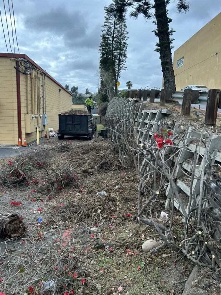 Custom yard maintenance for outdoor upgrades in Encinitas, CA by Garcia’s Tree Service & Landscaping