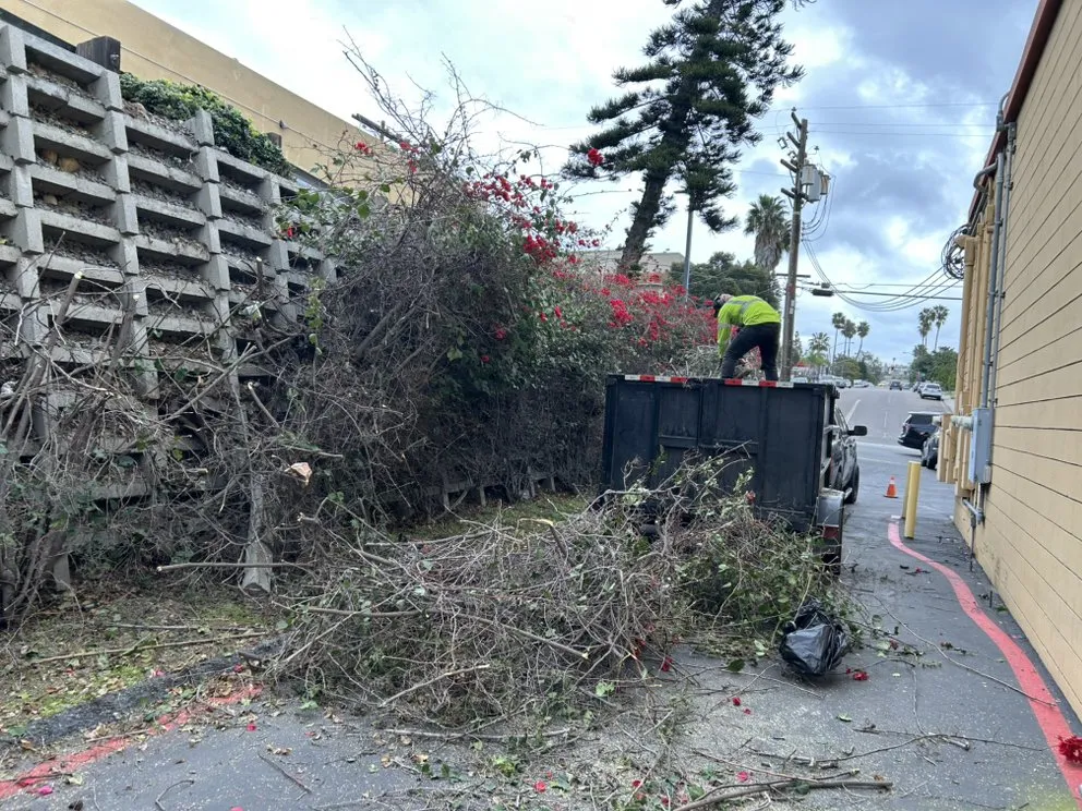 Trusted lawn care service in Encinitas, CA - Garcia’s Tree Service & Landscaping