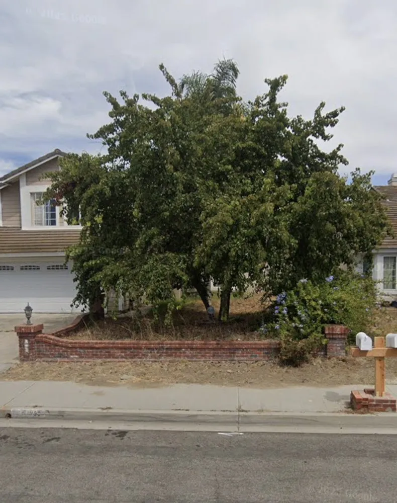 Local landscape design for beautiful yards in Encinitas, CA by Garcia’s Tree Service & Landscaping