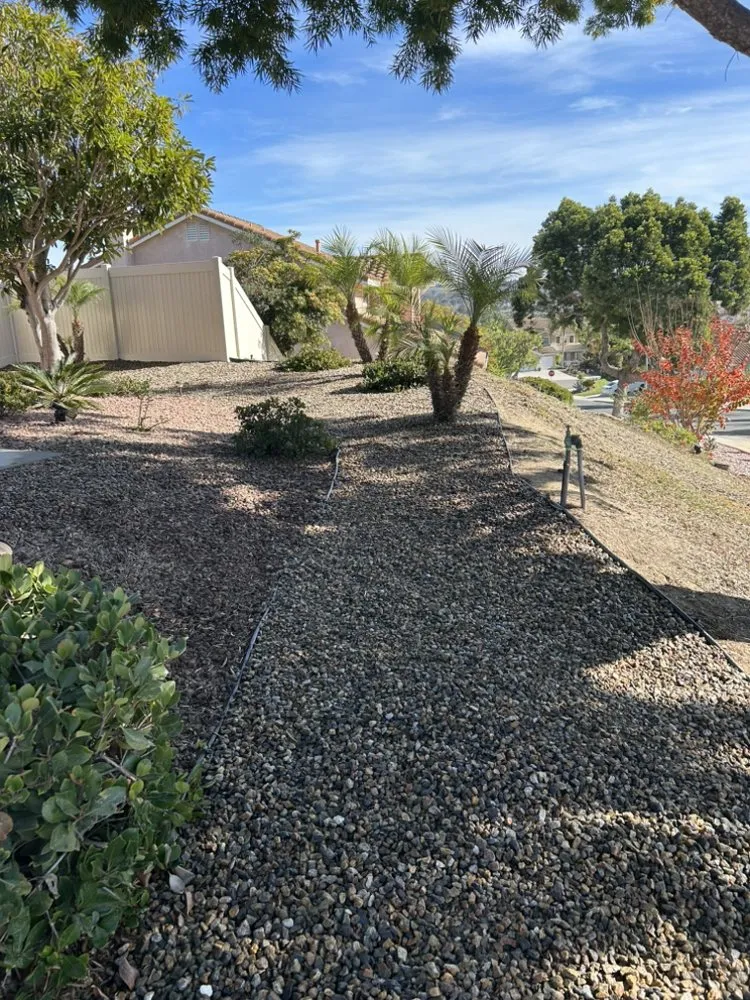 Professional landscaping services for beautiful yards across Encinitas, CA - Garcia’s Tree Service & Landscaping