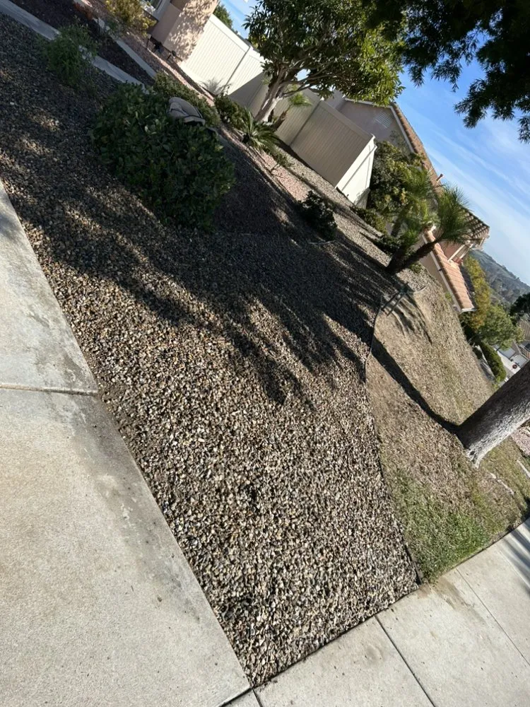 Reliable residential landscaping with custom design across Encinitas, CA - Garcia’s Tree Service & Landscaping