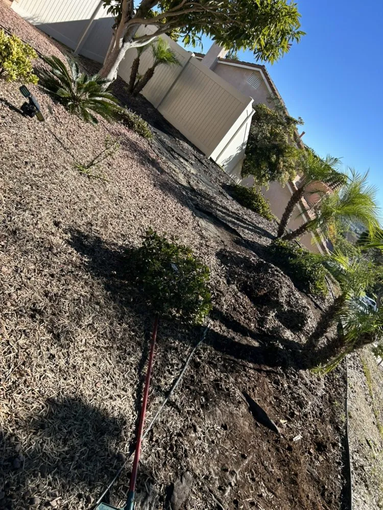 Professional yard maintenance for residential properties across Encinitas, CA - Garcia’s Tree Service & Landscaping