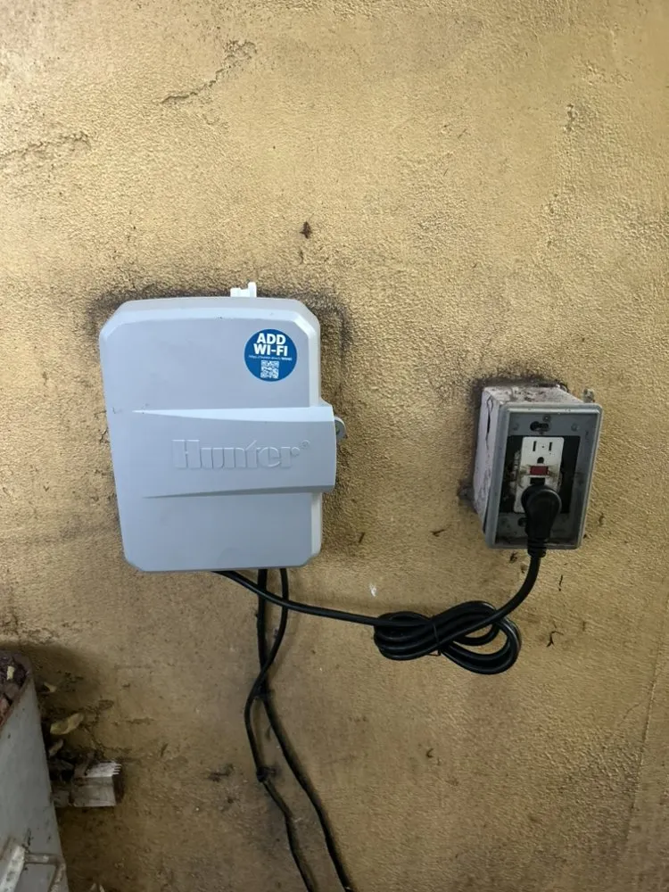 Affordable yard maintenance for year-round maintenance in Encinitas, CA by Garcia’s Tree Service & Landscaping