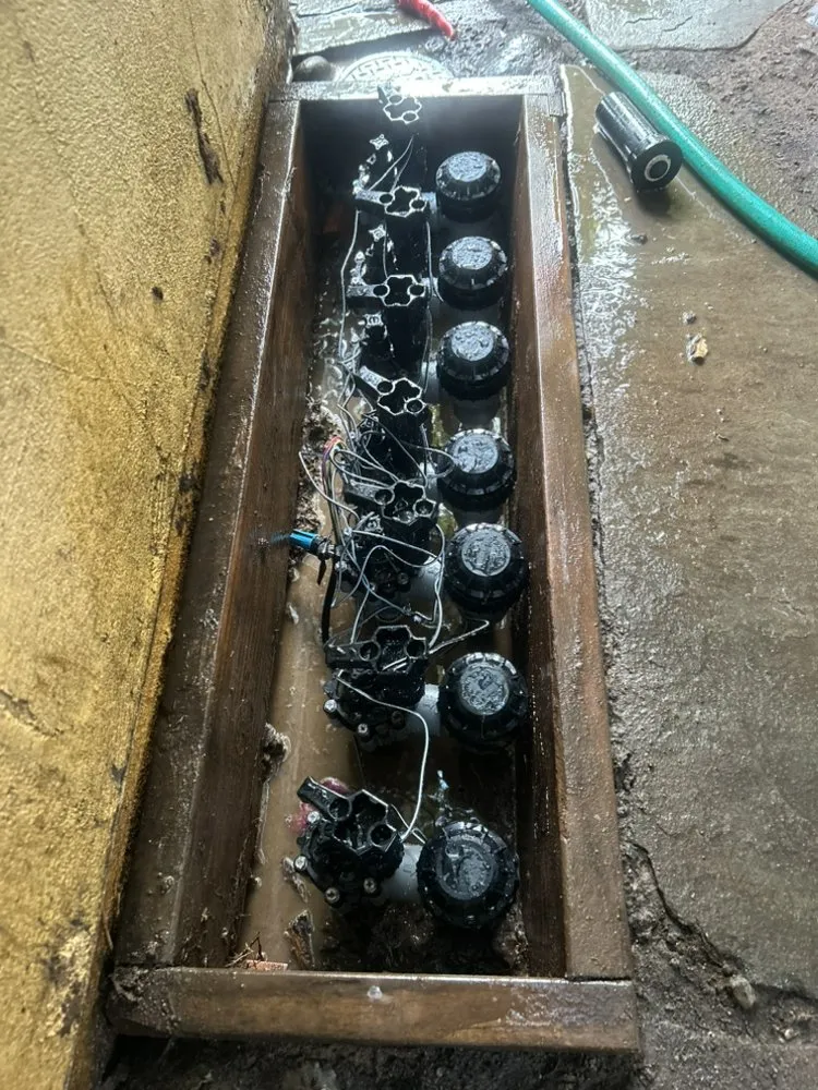 Affordable landscaping services experts serving Encinitas, CA - Garcia’s Tree Service & Landscaping