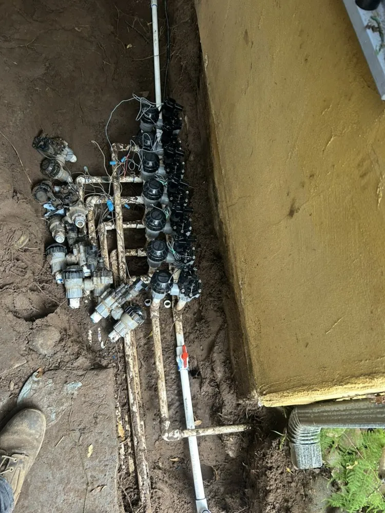 Top-rated yard cleanup service for year-round maintenance in Encinitas, CA by Garcia’s Tree Service & Landscaping