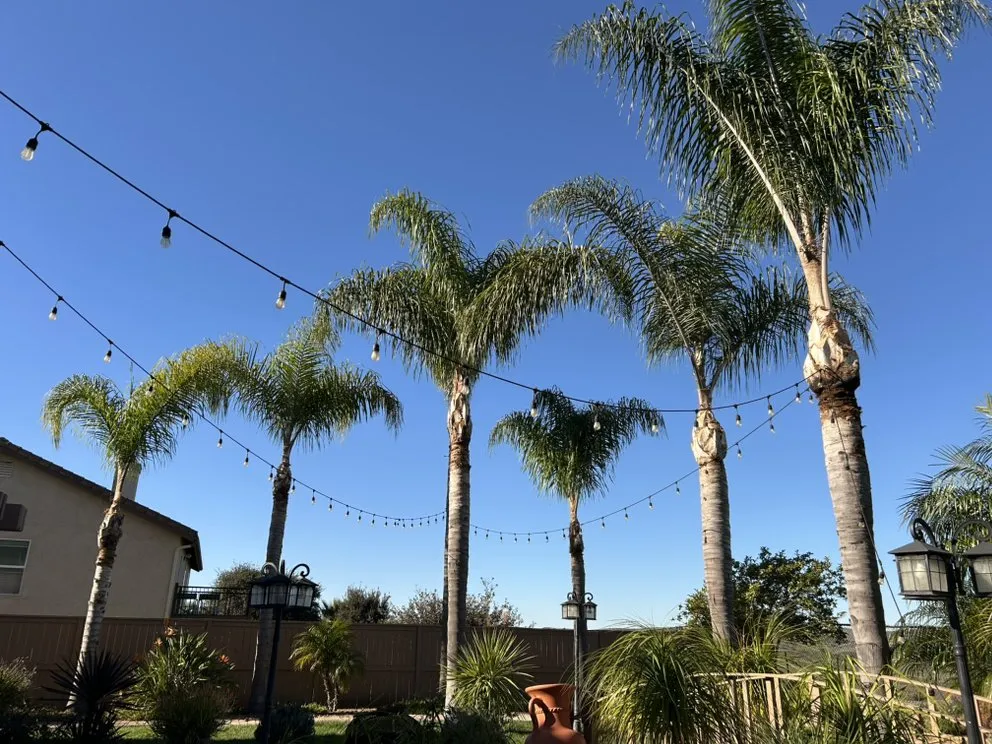 Top-rated garden landscaping in Encinitas, CA - Garcia’s Tree Service & Landscaping